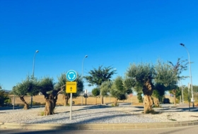 Foto 17