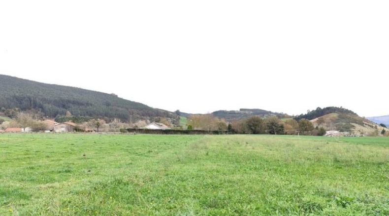 Jaén - Jaén - 2481m2