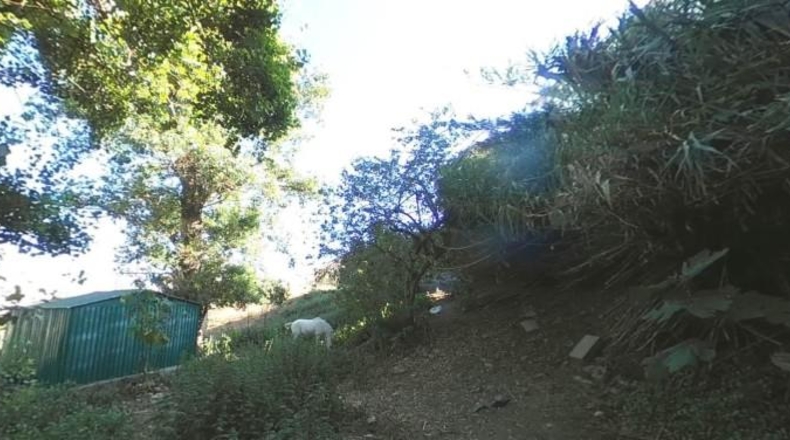 Cadiz - Algeciras - 2000m2