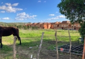 Terreny no urbanitzable en venda a la España, Los Barrios, ref.: TR131986 foto