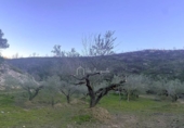 Terreno no urbanizable en venta en la España, el Perelló, ref: TR127190 foto