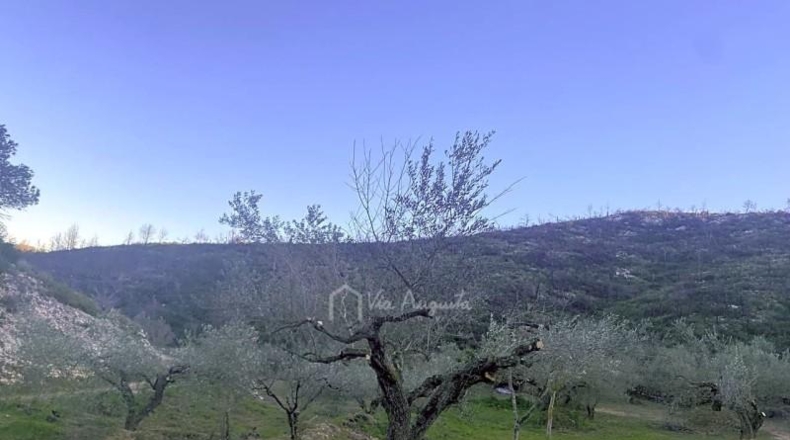 Tarragona - el Perelló - 39705m2
