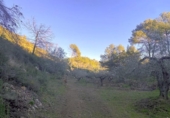 Terreno no urbanizable en venta en la España, el Perelló, ref: TR127190 foto