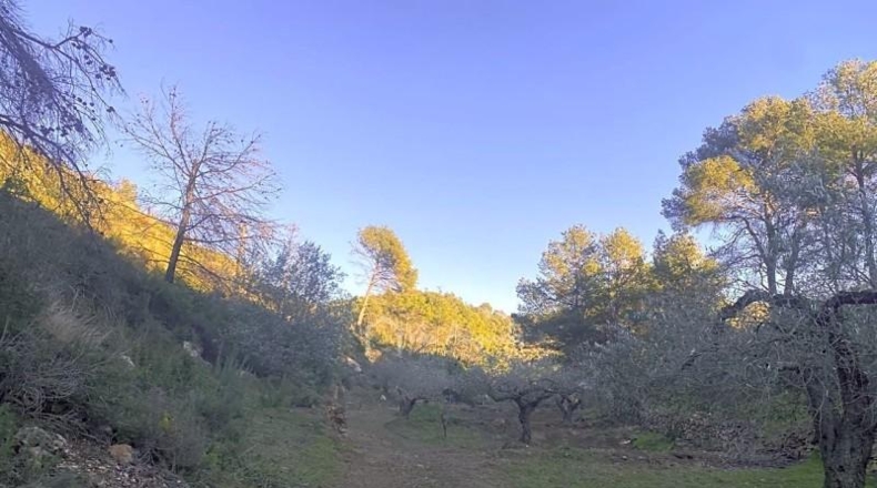 Tarragona - el Perelló - 39705m2