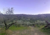 Terreno no urbanizable en venta en la España, el Perelló, ref: TR127190 foto