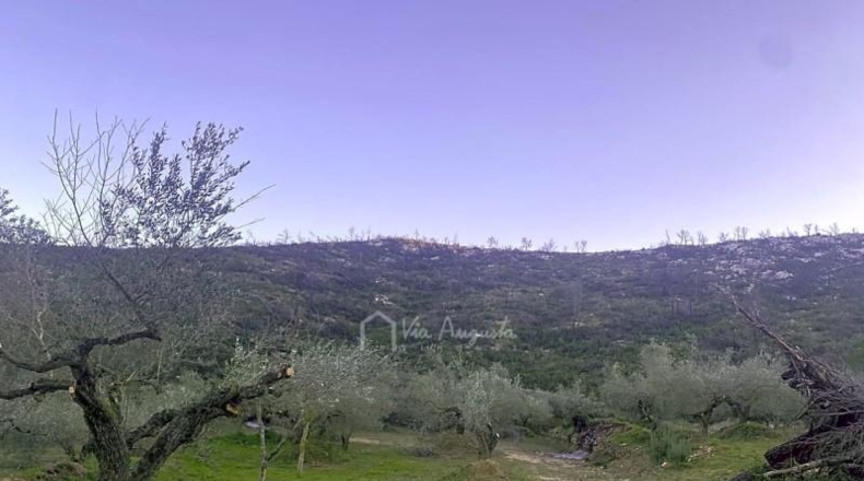 Tarragona - el Perelló - 39705m2