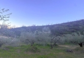Terreno no urbanizable en venta en la España, el Perelló, ref: TR127190 foto