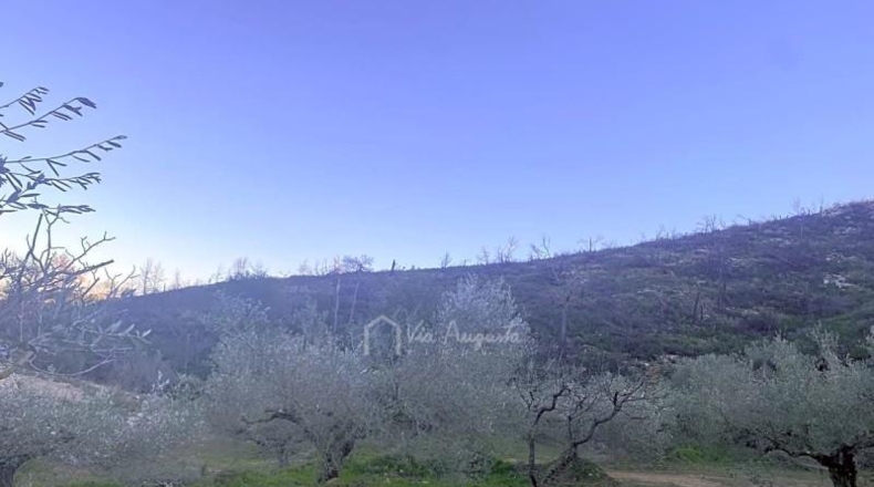 Tarragona - el Perelló - 39705m2