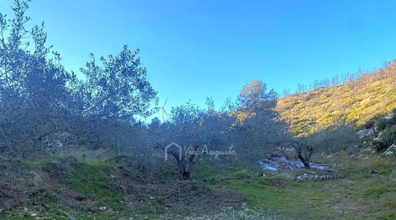 Tarragona - el Perelló - 39705m2