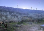 Terreno no urbanizable en venta en la España, el Perelló, ref: TR127190 foto