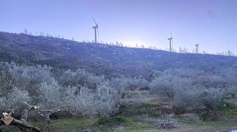 Tarragona - el Perelló - 39705m2