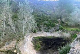 Foto 11