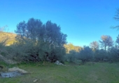 Terreno no urbanizable en venta en la España, el Perelló, ref: TR127190 foto