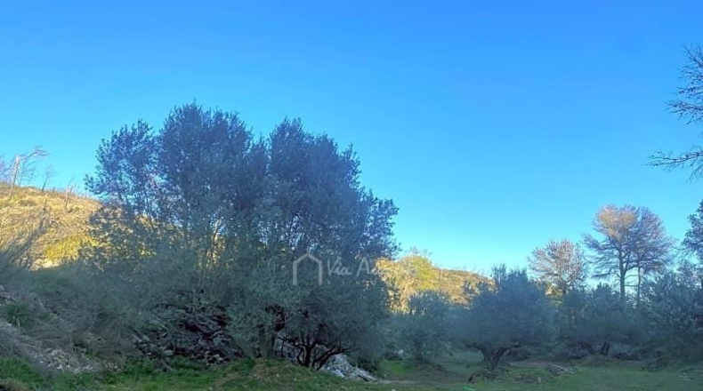 Tarragona - el Perelló - 39705m2