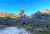 Terreno no urbanizable en venta en la España, el Perelló, ref: TR127190 foto