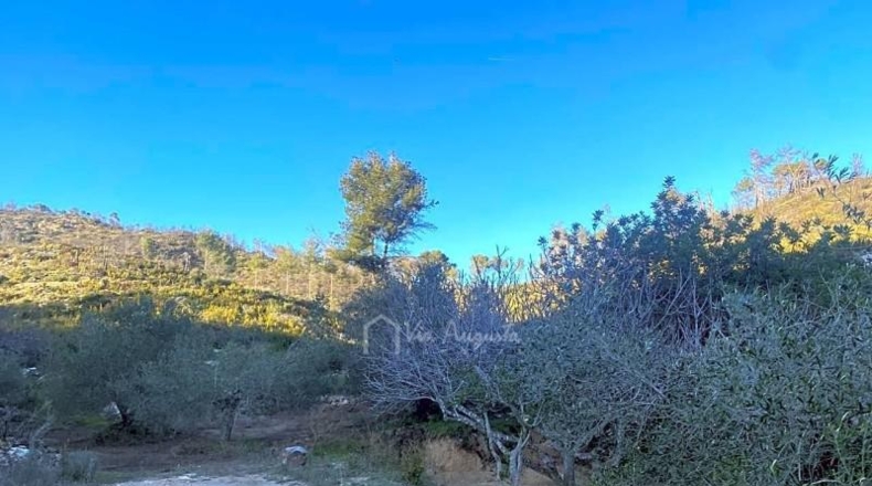 Tarragona - el Perelló - 39705m2