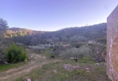 Terreno no urbanizable en venta en la España, el Perelló, ref: TR127190 foto