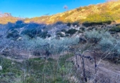 Terreno no urbanizable en venta en la España, el Perelló, ref: TR127190 foto