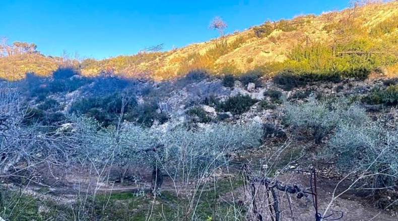Tarragona - el Perelló - 39705m2