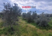 Detached villa with land for sale on España, El Viso, ref: TR300567 photo