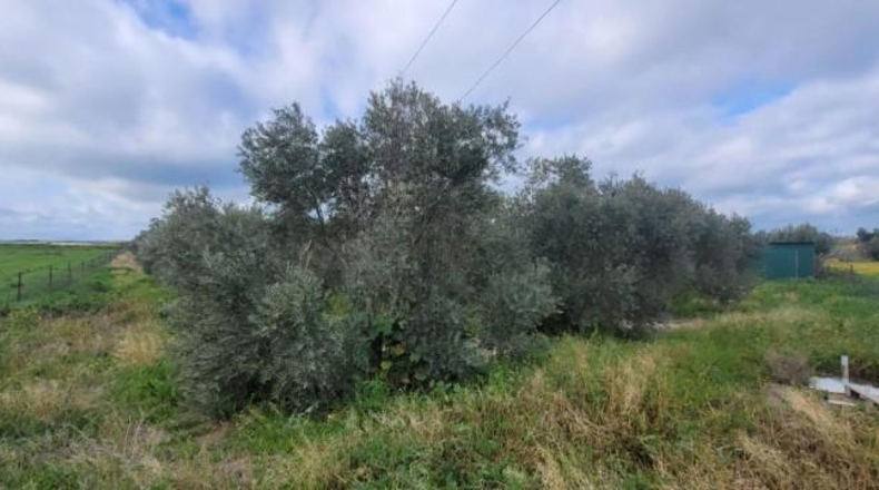 Córdoba - Эль-Висо - 57m2