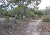 Urban land for sale on España, Montserrat, ref: TR169800 photo