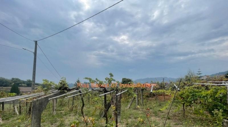 Pontevedra - Porriño - 836m2