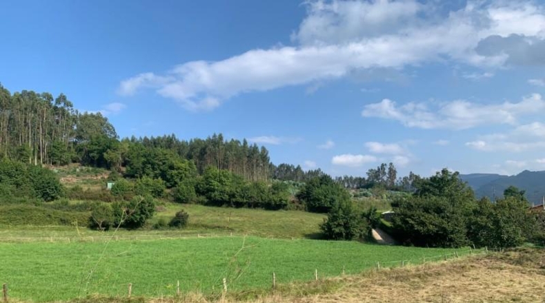 Asturias - Pravia - 1200m2