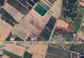 Terreny no urbanitzable en venda a la España, Guardamar del Segura, ref.: TR130125 foto