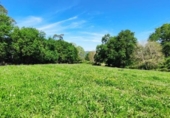 Non-developable land for sale on España, Santiurde de Toranzo, ref: TR130139 photo