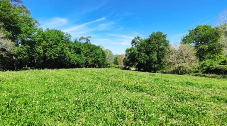 Cantàbria - Santiurde de Toranzo - 4975m2