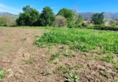 Non-developable land for sale on España, Santiurde de Toranzo, ref: TR130139 photo