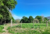 Non-developable land for sale on España, Santiurde de Toranzo, ref: TR130139 photo