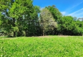 Non-developable land for sale on España, Santiurde de Toranzo, ref: TR130139 photo