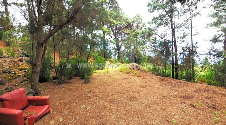 Santa Cruz de Tenerife - Icod de los Vinos - 6941m2