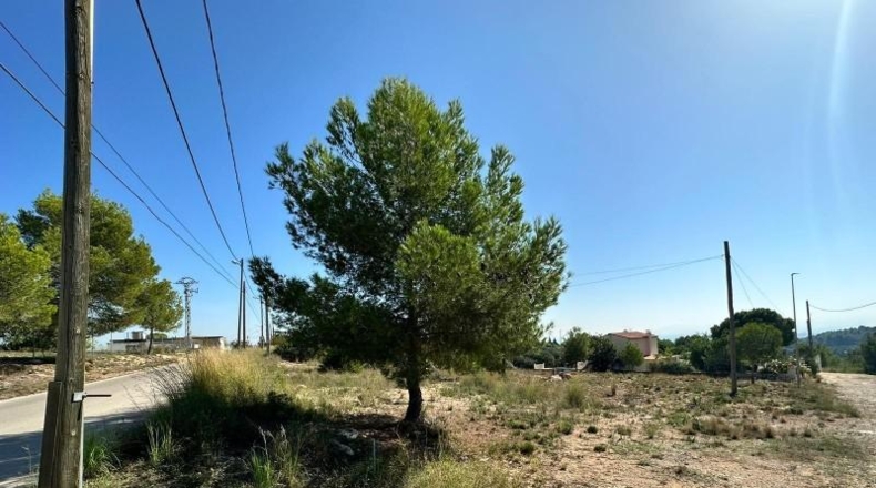 Valencia - Catadau - 1606m2