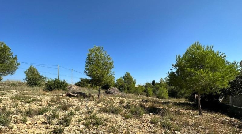 Valencia - Catadau - 1606m2