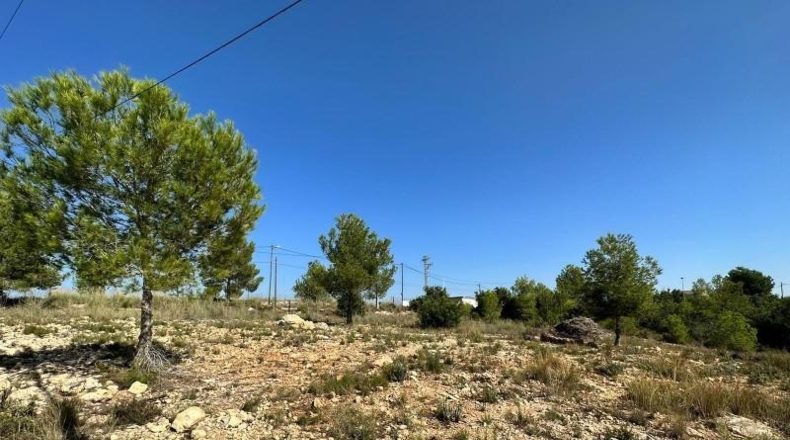 Valencia - Catadau - 1606m2