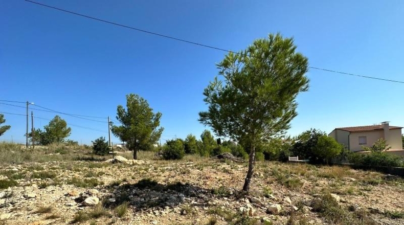 Valencia - Catadau - 1606m2