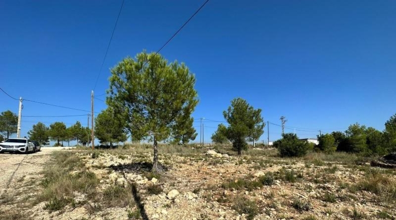 Valencia - Catadau - 1606m2