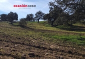 Xalet independent amb terreny en venda a la España, Pedroche, ref.: TR300371 foto