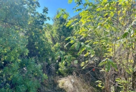 El Tiemblo 1700&nbsp;m² 