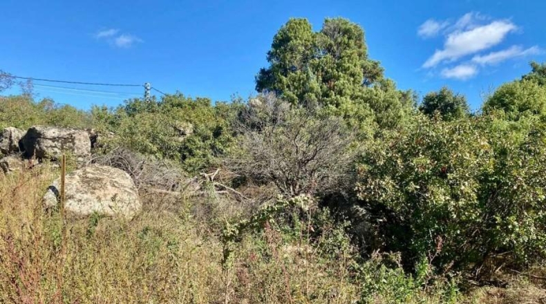 Ávila - El Tiemblo - 1700m2