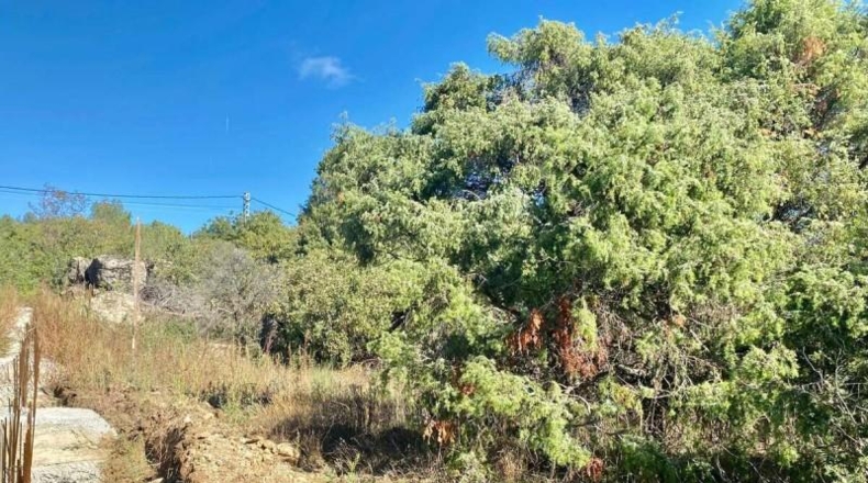 Ávila - El Tiemblo - 1700m2