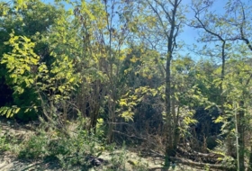El Tiemblo 1700&nbsp;m² 