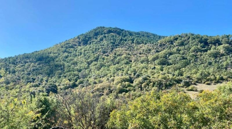 Ávila - El Tiemblo - 1700m2