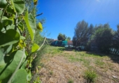 Sòl urbà en venda a la España, Jimena de la Frontera, ref.: TR217176 foto