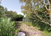 Terreno no urbanizable en venta en la España, Corella, ref: TR113262 foto