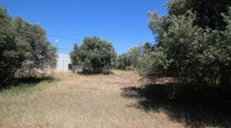 Huelva - Aljaraque - 4600m2