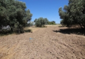 Non-developable land for sale on España, Aljaraque, ref: TR113521 photo